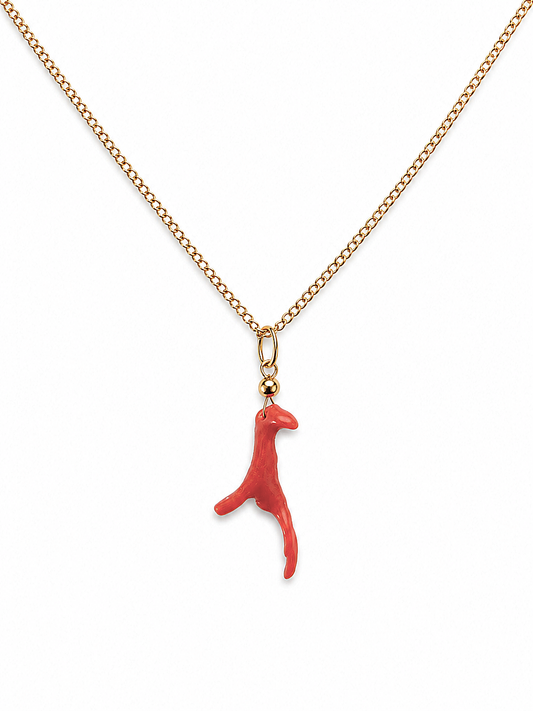 Bloedkoraal hanger