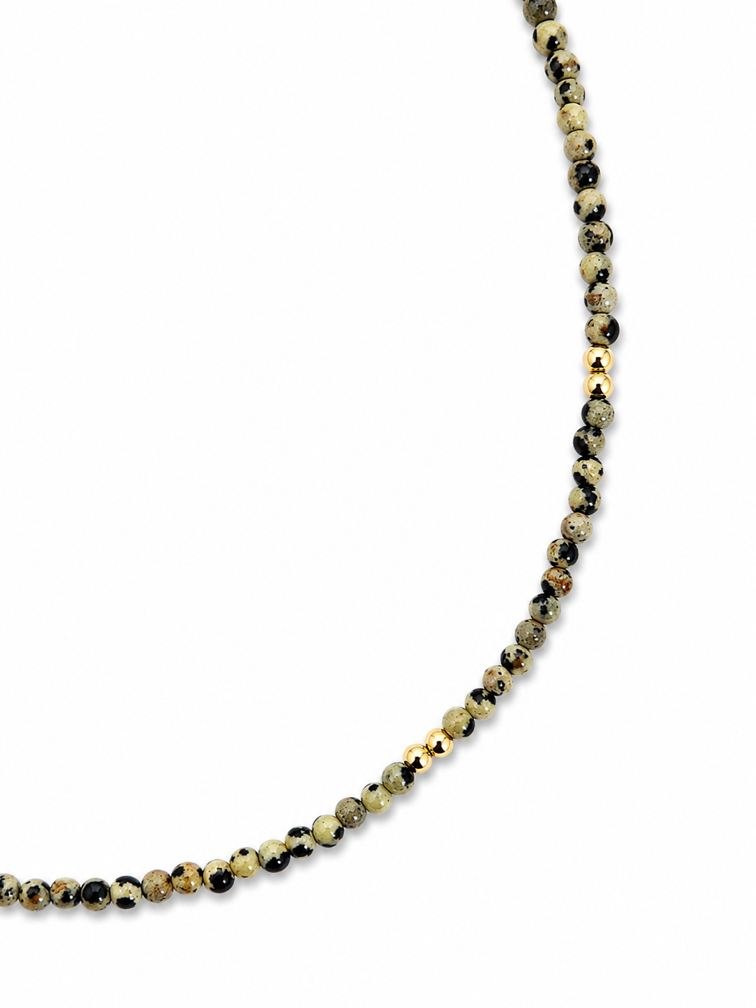 Ketting Dalmatian Jaspis