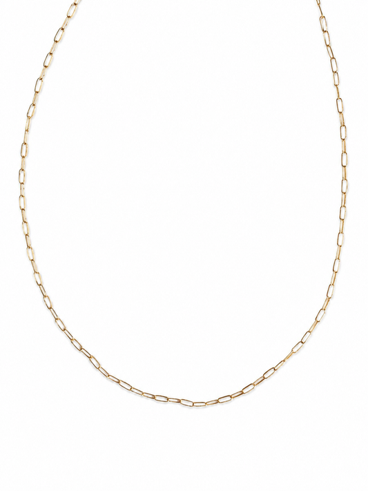Gold Filled paperclip ketting